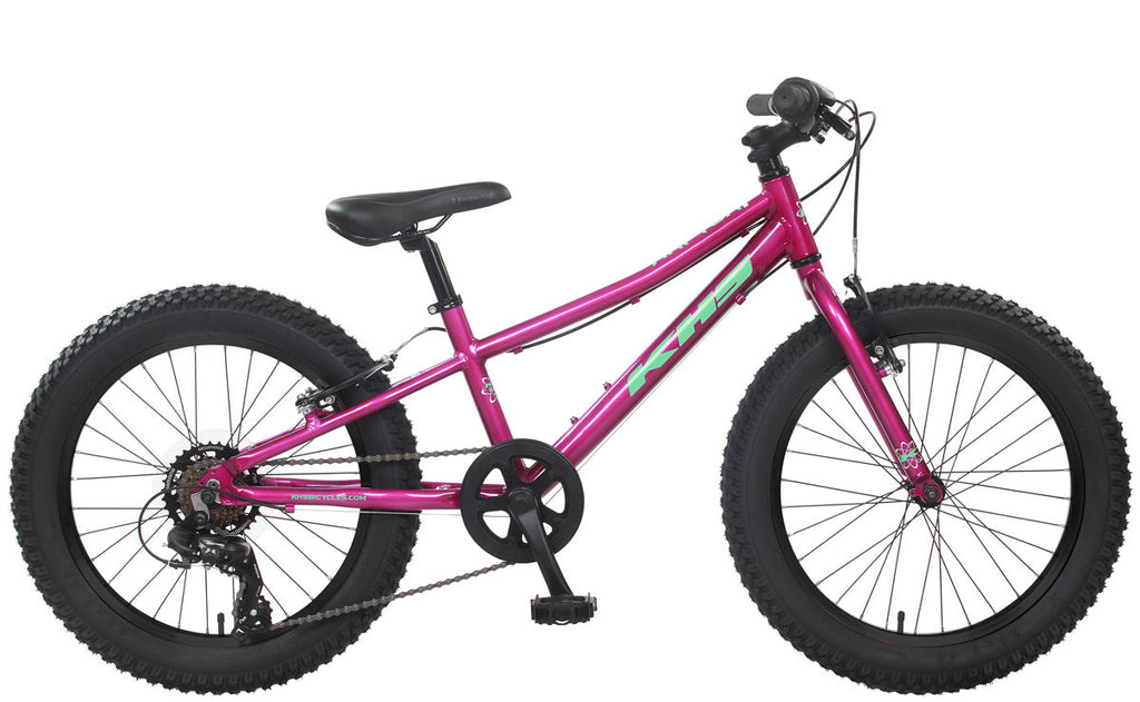 KHS Raptor+ 20" Mountain Bike (Youth)