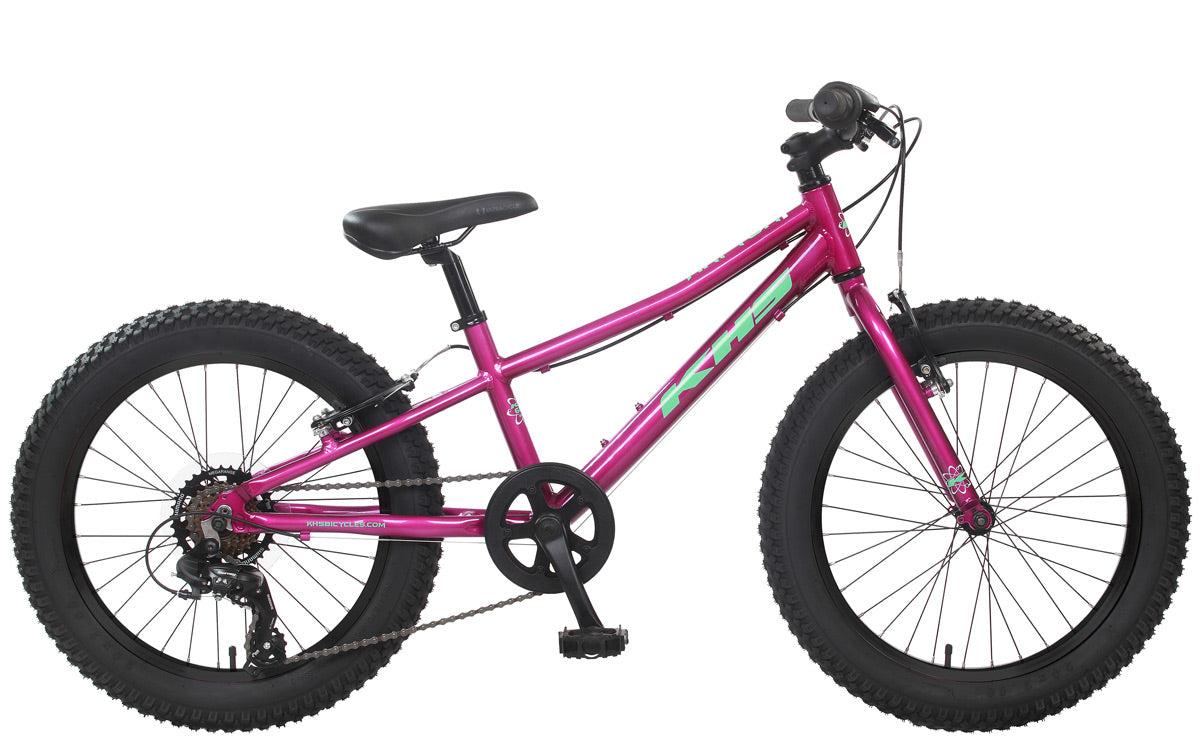 KHS Raptor+ 20" Mountain Bike (Youth)